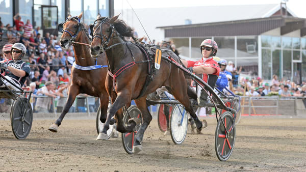 Foto: MALIN ALBINSSON / TR BILD