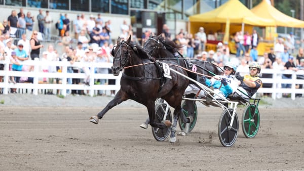 Foto: MAISA HYTTINEN/SUOMEN HIPPOS