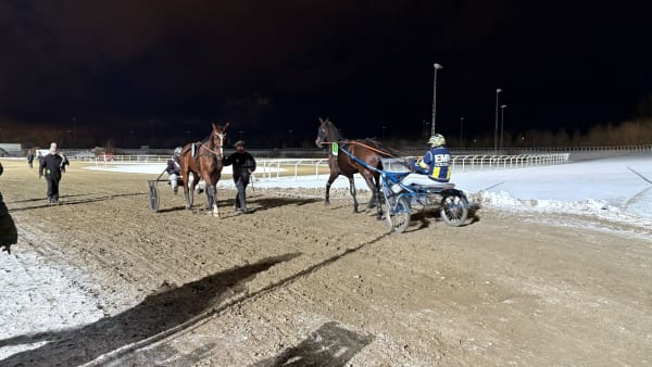 Foto: LINUS ERIKSSON/TR BILD