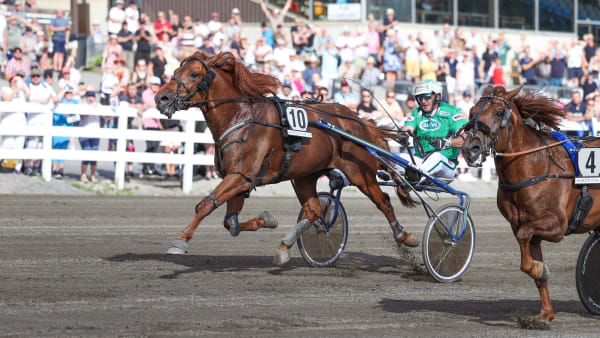 Foto: MAISA HYTTINEN/SUOMEN HIPPOS