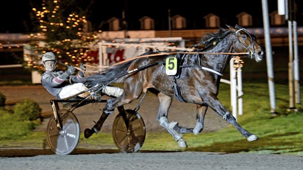 Foto: MALIN ALBINSSON/TR BILD