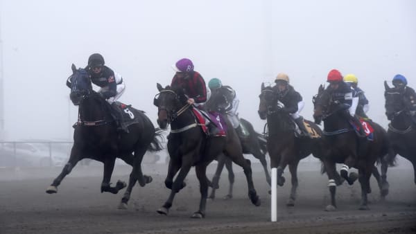 Foto: LARS JAKOBSSON / TR BILD