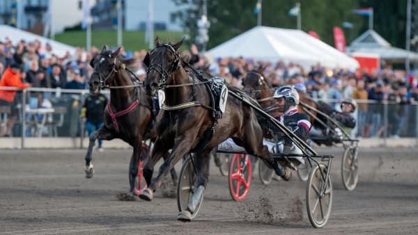 Foto: MIKAEL ROSENQUIST / TR BILD