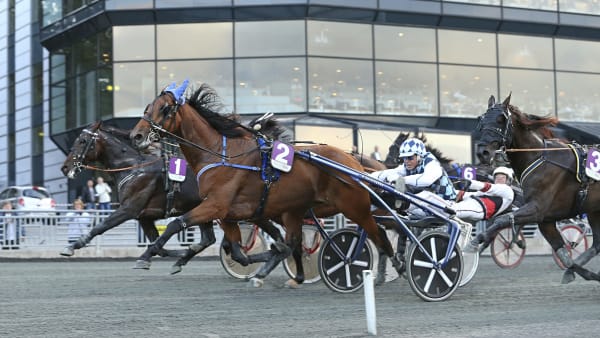 Foto: MARIA HOLMÉN / TR BILD