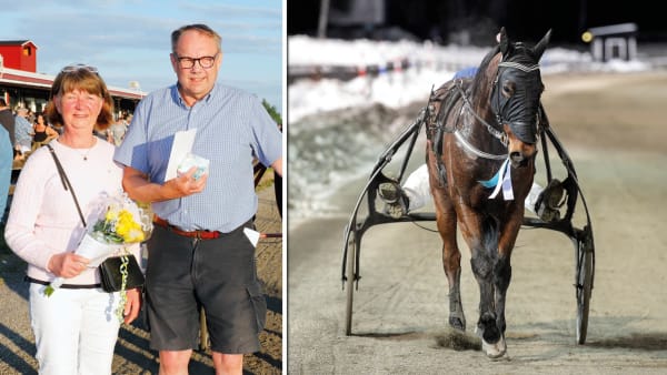 Foto: LENNART KIHLMAN/ALN & LARS JAKOBSSON/TR