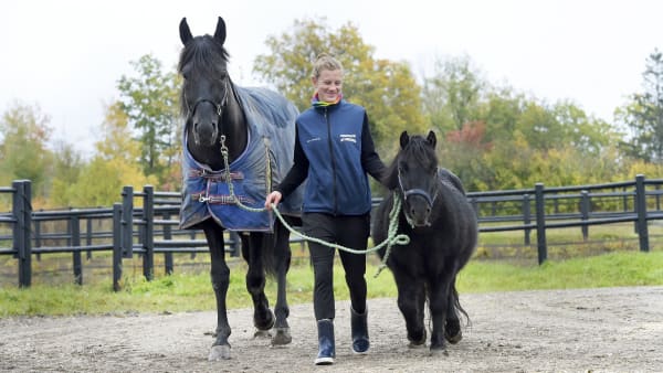 Foto: LARS JAKOBSSON / TR BILD