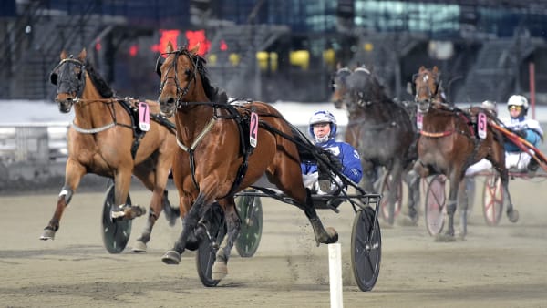 Foto: LARS JAKOBSSON / TR BILD