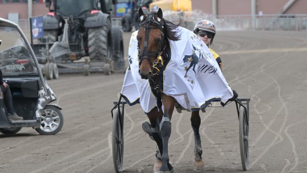 Foto: LARS JAKOBSSON / TR BILD