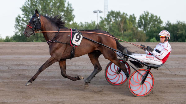 Foto: MIKAEL ROSENQUIST / TR BILD