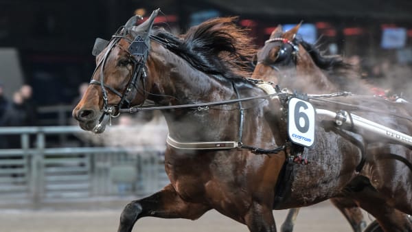 Foto: LARS JAKOBSSON / TR BILD