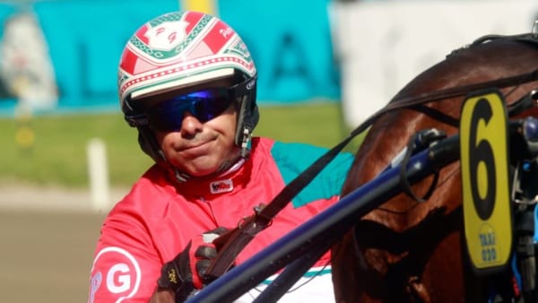 Foto: MICKE GUSTAFSSON/ALN