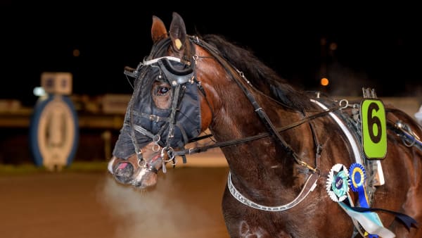 Foto: LARS JAKOBSSON / TR BILD