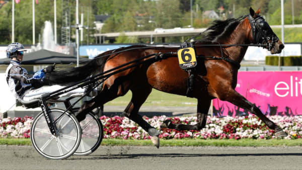 Foto: LENA EMMOTH/TR BILD