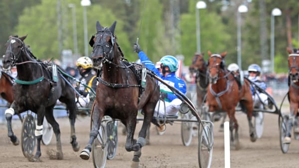 Foto: MARIA HOLMÉN / TR BILD