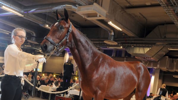 Foto: Claes Kärrstrand/TR Bild