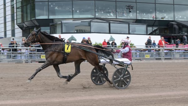 Foto: LARS JAKOBSSON / TR BILD