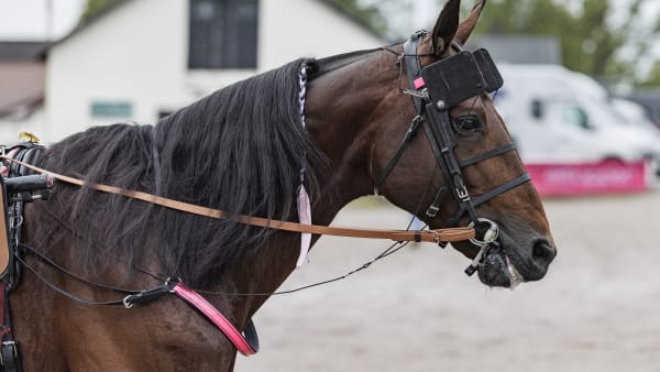 Foto: LENA EMMOTH / TR BILD