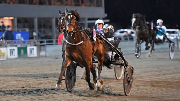 Foto: MALIN ALBINSSON / TR BILD