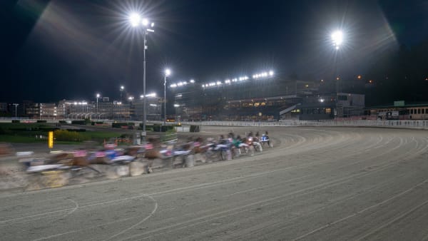 Foto: THOMAS BLOMQVIST / TR BILD