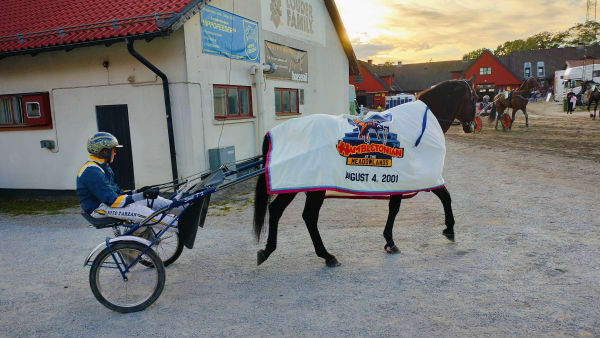 Foto: LUCAS ERICSSON/TR BILD