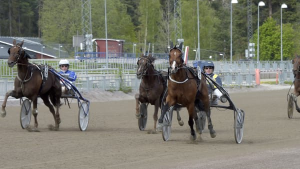 Foto: LARS JAKOBSSON / TR BILD