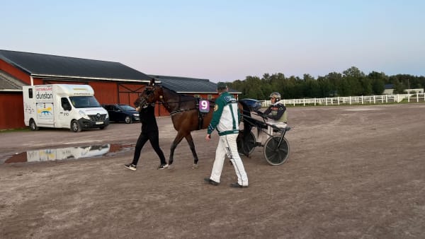 Foto: Mattias Holmgren/TR Bild.