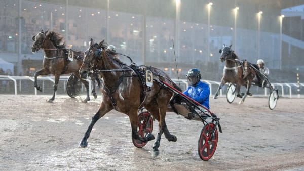 Foto: MIKAEL ROSENQUIST / TR BILD