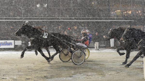 Foto: LARS JAKOBSSON / TR BILD