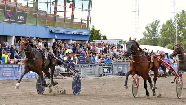 Foto: MARIA HOLMÉN / TR BILD