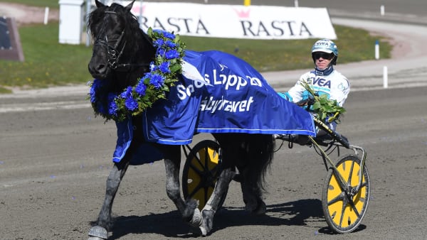 Foto: MALIN ALBINSSON / TR BILD