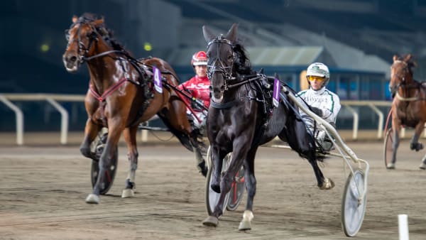 Foto: MIKAEL ROSENQUIST / TR BILD