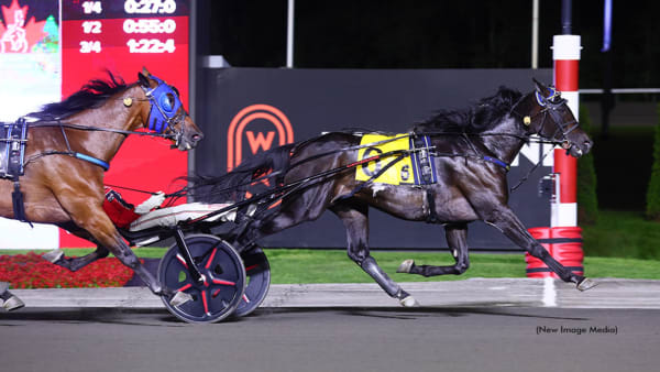 Foto: New Image Media