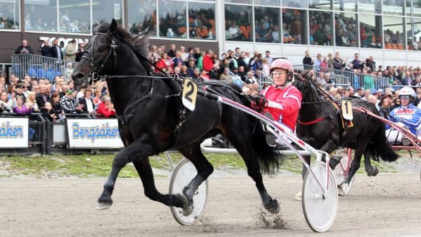 Foto: TOM JÖNEHAG/ALN