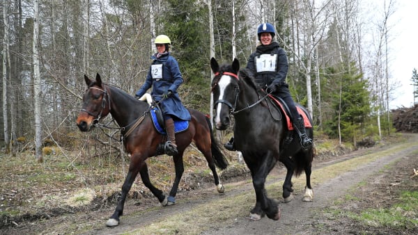 Foto: MARIA HOLMÉN / TR BILD