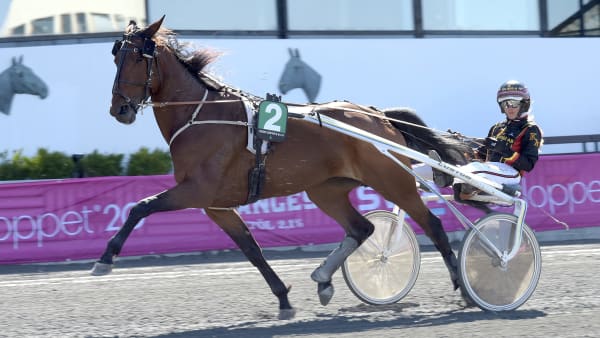 Foto: LARS JAKOBSSON / TR BILD