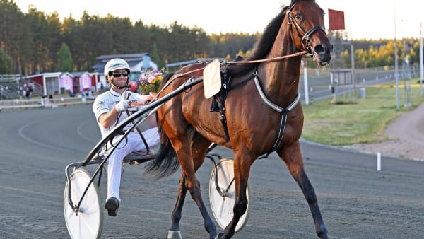 Foto: MALIN ALBINSSON / TR BILD