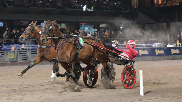 Foto: LARS JAKOBSSON / TR BILD