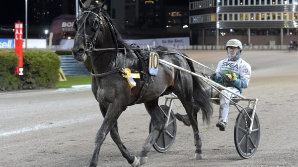 Foto: LARS JAKOBSSON / TR BILD