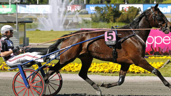 Foto: Maria Holmén/TR Bild