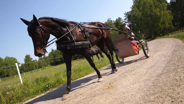 Foto: MARIA HOLMÉN / TR BILD