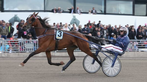 Foto: JEANNIE KARLSSON