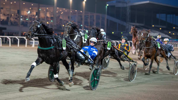 Foto: MIKAEL ROSENQUIST / TR BILD