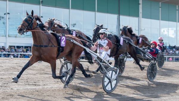 Foto: MIKAEL ROSENQUIST / TR BILD