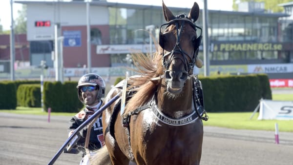 Foto: LARS JAKOBSSON / TR BILD