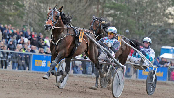 Foto: Adam Ström/Stalltz