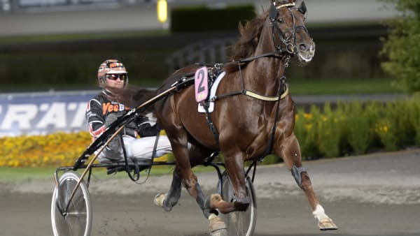 Foto: LARS JAKOBSSON / TR BILD