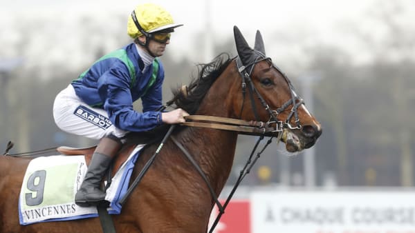 Foto: Thomas Blomqvist/TR Bild