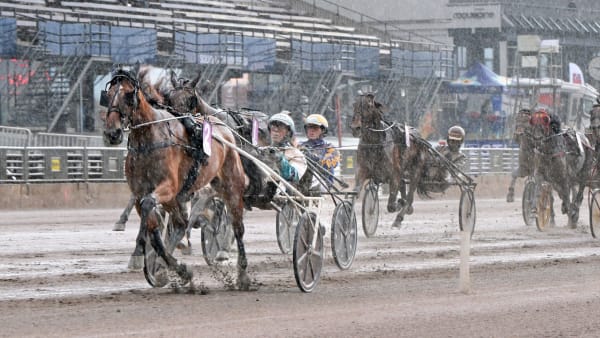 Foto: LARS JAKOBSSON / TR BILD