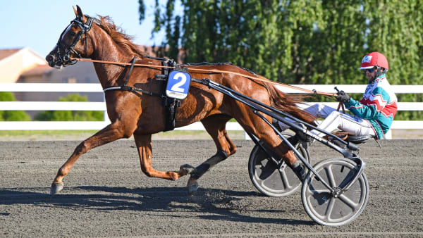 Foto: MALIN ALBINSSON / TR BILD