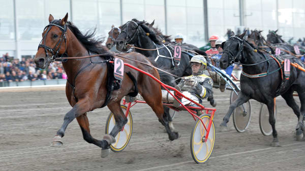 Foto: LARS JAKOBSSON / TR BILD